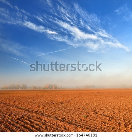Orange soil field against blue sky in Latvia