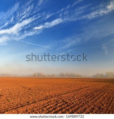 Orange soil field against blue sky