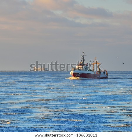 Frozen fishing vessel in coming back to the port at the sunset
