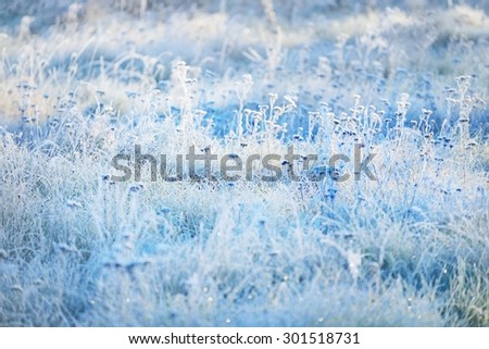 Frozen winter landscape. Trees with the hoar-frost