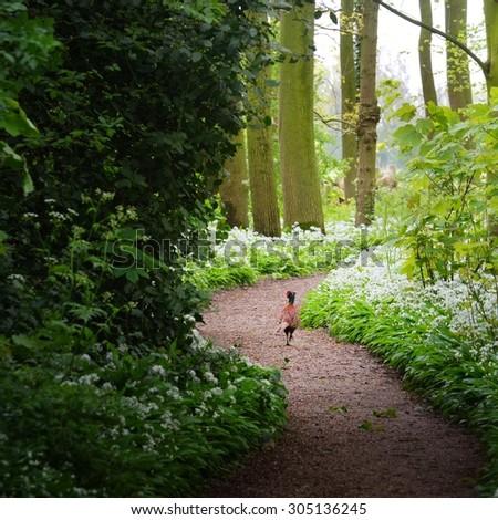 Pheasant in the forest and the blooming wild garlic (Allium ursinum) in Stochemhoeve, Leiden, the Netherlands