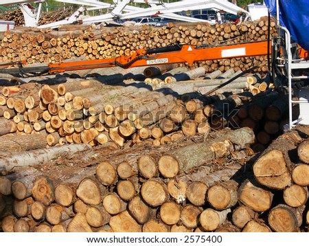 PINE WOOD PRODUCTION FROM THE TIGRE DELTA IN ARGENTINA