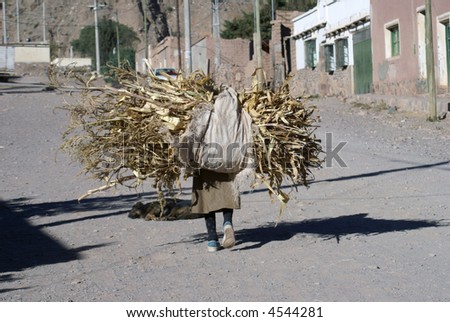 old woman carrying a big load of plants