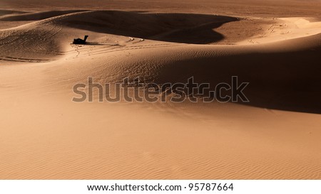 Wallpaper image of sand dunes with a silhouette of camel, Erg Chigaga, Moroccan Sahara