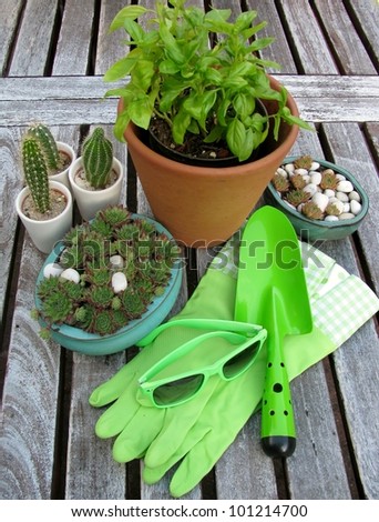Plants and garden accessories