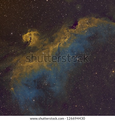 Seagull Nebula in the Hubble Palette
