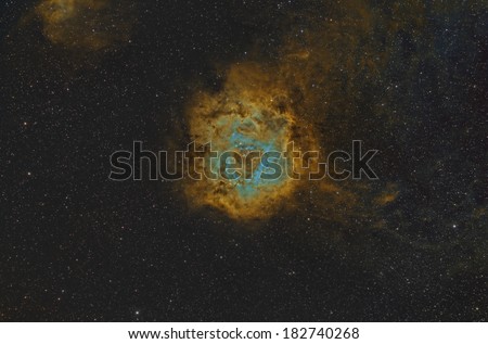 The Rosette Nebula Imaged in the Hubble Space Palette
