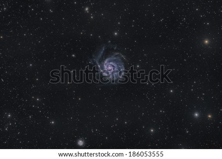 Wide Field View of M 101, a Spiral Galaxy in Ursa Major