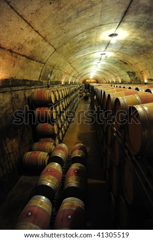 Wine Cellar in Spain
