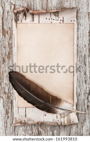 Aged paper, feather and birch bark