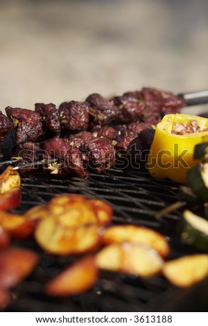 bbq stick (veal) on the hot grill with fruits and vegetables.