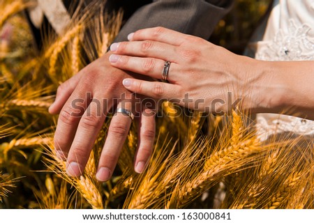 Fields of Gold - Hands delicately together with wedding rings.