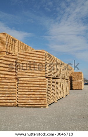Piles of pine planks stacked for drying