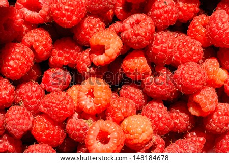 Raspberry is the edible fruit of a multitude of plant species in the genus Rubus of the rose family, most of which are in the subgenus Idaeobatus; the name also applies to these plants themselves.
