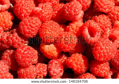 Raspberry is the edible fruit of a multitude of plant species in the genus Rubus of the rose family, most of which are in the subgenus Idaeobatus; the name also applies to these plants themselves.