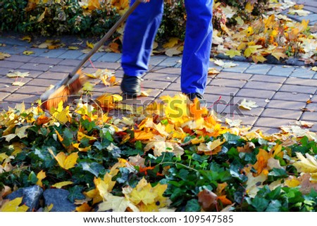 Man raking yellow leaves in the garden