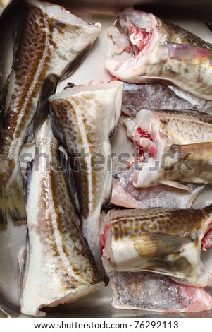Raw cod fish fillets in kitchen