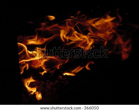 Campfire flames breaking the surrounding darkness