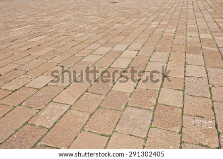 Block paving pattern. Paved with stones with weeds between bricks