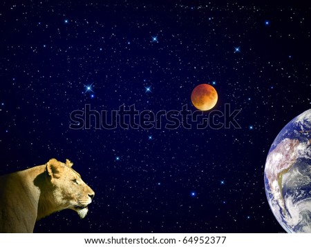 lion in the outer space