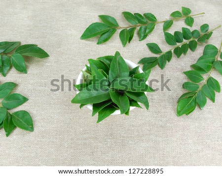 Curry leaves.
