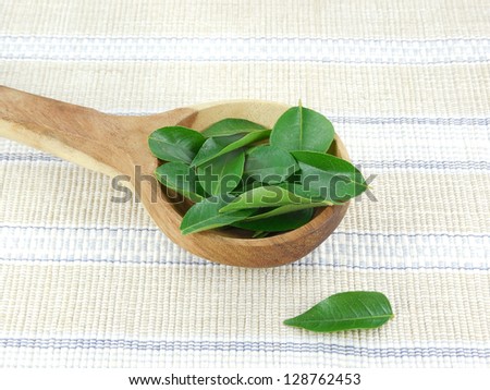 Curry leaves in a wooden spoon.