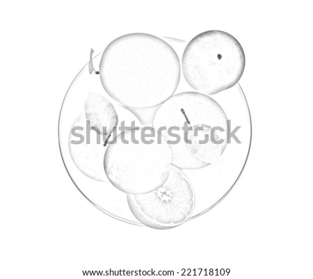 Citrus and apple on a plate on a white background. Pencil drawing