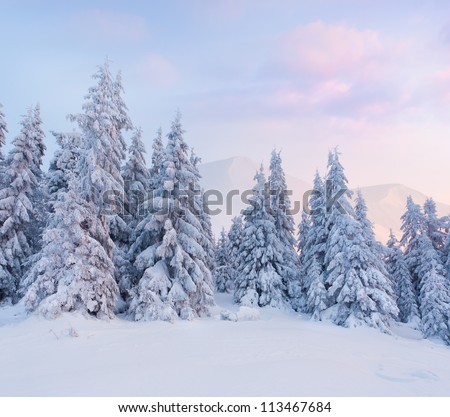 Foggy winter landscape in the mountains. Sunrise
