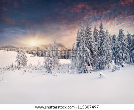 Beautiful Winter Landscape In The Mountains. Sunset