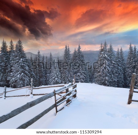 Dramatic winter landscape in the mountains. Colorful sunrise