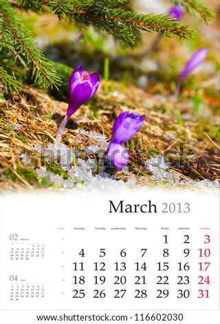 2013 Calendar. March. Purple crocuses through the old grass