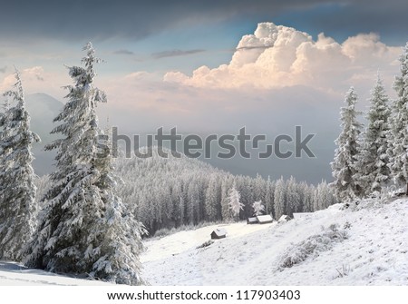 Beautiful Winter Landscape In The Mountains