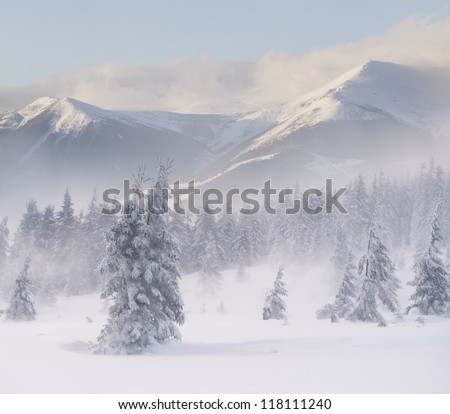 Foggy winter landscape in the mountains