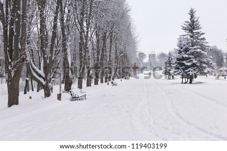 Snow-covered landscape in the city park. Ternopil, Ukraine