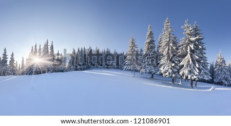 Panorama Of The Winter Morning In The Mountains