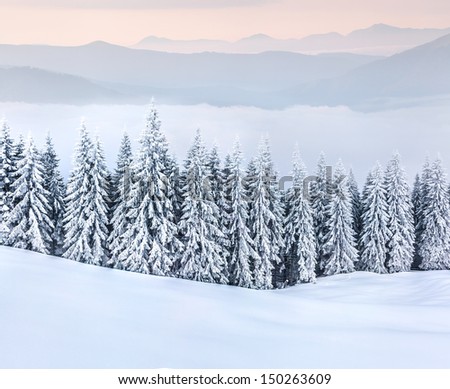 Beautiful winter landscape in the  mountains.