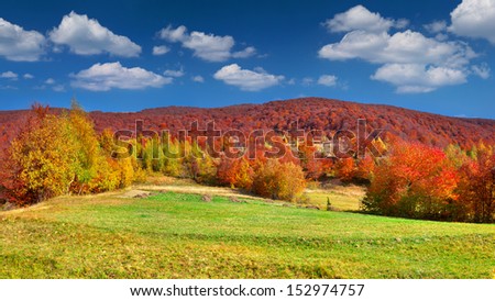 Colorful autumn panorama of the mountains