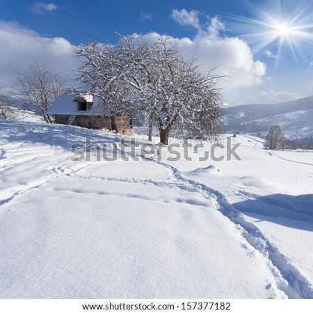 Sunny landscape in the mountain village. Winter morning. Iltsi village, Carpathian , Ukraine, Europe.