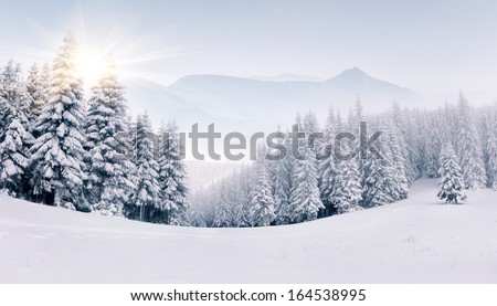 Panorama Of The Foggy Winter Landscape In The Mountains