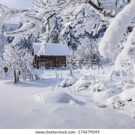 Winter fairytale, heavy snowfall covered the trees and houses in the mountain village. Strymba village, Carpathian, Ukraine, Europe.