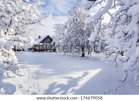 Winter fairytale, heavy snowfall covered the trees and houses in the mountain village. Strymba village, Carpathian, Ukraine, Europe.
