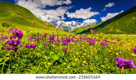 Panorama of alpine meadows in the Caucasus mountains. Upper Svaneti, Georgia.