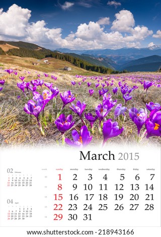 2015 Calendar. March. Blossom of crocuses in spring in the mountains