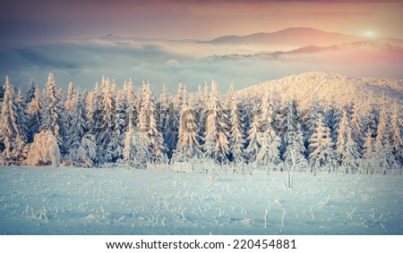 Panorama of the winter sunrise in the foggy mountains. Retro style.