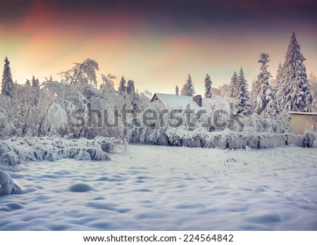 Winter fairytale, heavy snowfall covered the trees and houses in the mountain village. Loyeva village, Carpathian, Ukraine, Europe.