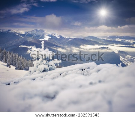Foggy morning landscape in the winter mountains