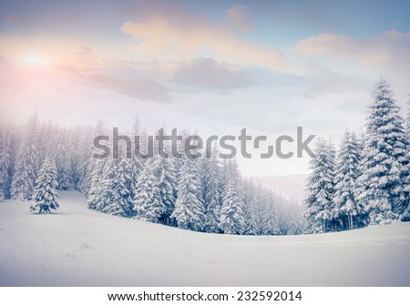Beautiful winter landscape in the foggy mountains. Retro style.