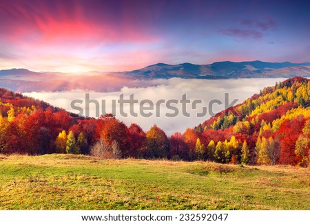Colorful autumn morning in the Carpathian mountains. Sokilsky ridge, Ukraine, Europe.