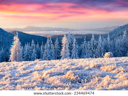 Beautiful winter sunrise in the mountains