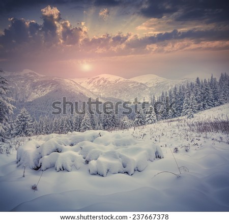 Beautiful winter sunrise with snow covered trees in the mountains. Retro style.